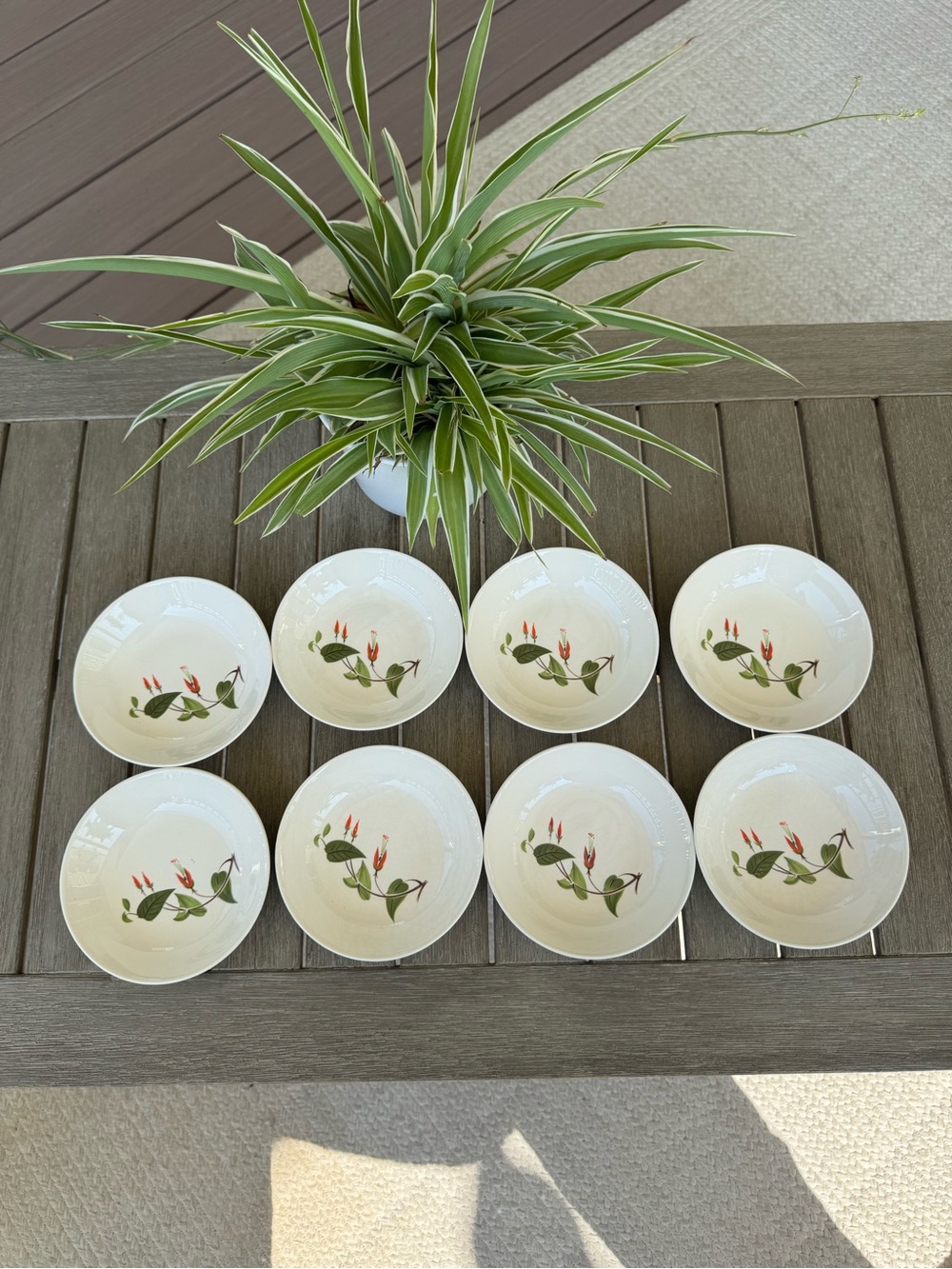 Set of 8 Vintage Salem Primrose 5.25” Bowls